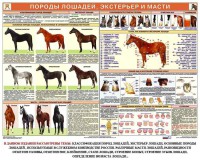 Комплект плакатов "Служебное коневодство" - fgospostavki.ru - Тольятти