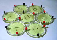 Демонстрационный комплект «Силовые линии электрического поля разных систем зарядов» - fgospostavki.ru - Тольятти