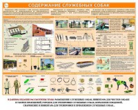 Комплект плакатов "Кинология" - fgospostavki.ru - Тольятти