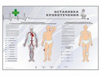 Электрифицированный стенд "Остановка кровотечения" - fgospostavki.ru - Тольятти