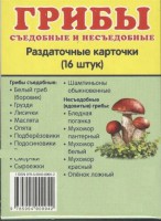 Раздаточные карточки "Грибы съедобные и не съедобные" - fgospostavki.ru - Тольятти