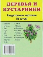 Раздаточные карточки "Деревья и кустарники" - fgospostavki.ru - Тольятти