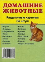 Раздаточные карточки "Домашние животные" - fgospostavki.ru - Тольятти