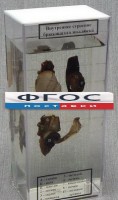Влажный препарат "Внутреннее строение брюхоногого моллюска" - fgospostavki.ru - Тольятти