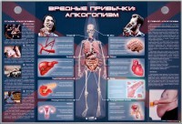 Электрифицированный стенд "Вредные привычки: алкоголизм" - fgospostavki.ru - Тольятти