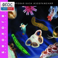 Биология. Микрофотографии. (Цифровая база изображений) - fgospostavki.ru - Тольятти