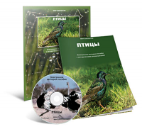 Электронное наглядное пособие «Птицы» - fgospostavki.ru - Тольятти