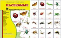 Демонстрационные карточки "Насекомые" - fgospostavki.ru - Тольятти