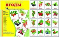 Демонстрационные карточки "Ягоды" - fgospostavki.ru - Тольятти