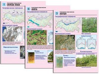 Комплект таблиц по географии "Природные зоны России" раздаточные (цветные, ламинированные, А4, 10 штук) - fgospostavki.ru - Тольятти