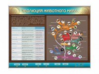Интерактивный электрифицированный стенд "Эволюция животного мира" - fgospostavki.ru - Тольятти