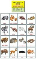 Раздаточные карточки "Дикие животные (1)" - fgospostavki.ru - Тольятти