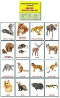 Раздаточные карточки "Дикие животные (2)" - fgospostavki.ru - Тольятти