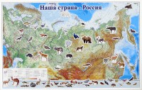 Магнитные карточки "Животные" - fgospostavki.ru - Тольятти