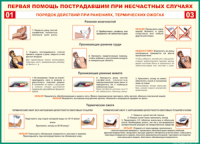 Таблица "Порядок действий при ранениях и термических ожогах" (100х140 сантиметров, винил) - fgospostavki.ru - Тольятти