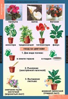 Комплект таблиц. Окружающий мир 1 класс. - fgospostavki.ru - Тольятти