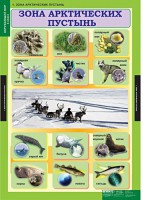 Комплект таблиц. Окружающий мир 4 класс. - fgospostavki.ru - Тольятти