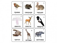 Набор магнитных карточек по музыке "Животные" (9 штук) - fgospostavki.ru - Тольятти
