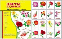 Демонстрационные карточки "Цветы садовые" - fgospostavki.ru - Тольятти