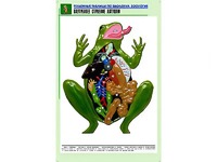 Рельефная таблица "Внутреннее строение лягушки" (формат А1, матовое ламинирование) - fgospostavki.ru - Тольятти