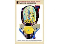 Рельефная таблица "Долька печени. Макро-микростроение" (формат А1, матовое ламинирование) - fgospostavki.ru - Тольятти