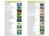 Комплект карточек (10) "Обучающий калейдоскоп. Природа" - fgospostavki.ru - Тольятти