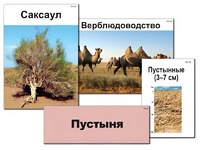 Модель-аппликация "Природные зоны России" (ламинированная) - fgospostavki.ru - Тольятти