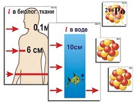 Модель-аппликация "Явление радиоактивности" (ламинированная) - fgospostavki.ru - Тольятти