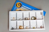 Коллекция "Раковины моллюсков" - fgospostavki.ru - Тольятти