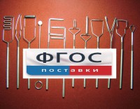 Постановочные зонды (медицинская сталь). Комплект из 12 зондов - fgospostavki.ru - Тольятти