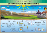 Таблица "Возникновение жизни на земле" (100х140 сантиметров, винил) - fgospostavki.ru - Тольятти