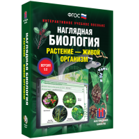 Наглядная биология. Растение - живой организм - fgospostavki.ru - Тольятти