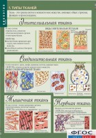 Комплект таблиц. Биология 8-9 класс. Человек. - fgospostavki.ru - Тольятти