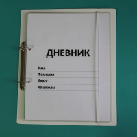 Дневник школьника (с полным набором карточек) - fgospostavki.ru - Тольятти
