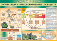 Таблица "Организация и функционирование сообществ" (100х140 сантиметров, винил) - fgospostavki.ru - Тольятти