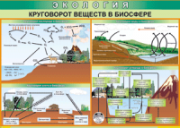 Таблица "Круговорот веществ в биосфере" (100х140 сантиметров, винил) - fgospostavki.ru - Тольятти
