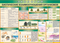 Таблица "Биотические взаимоотношения организмов" (100х140 сантиметров, винил) - fgospostavki.ru - Тольятти