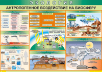 Таблица "Антропогенное воздействие на биосферу" (100х140 сантиметров, винил) - fgospostavki.ru - Тольятти
