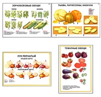 Плакаты ПРОФТЕХ "Ассортимент овощных культур" (12 пл, винил, 70х100) - fgospostavki.ru - Тольятти