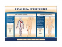 Электрифицированный стенд-тренажер "Остановка кровотечения" - fgospostavki.ru - Тольятти