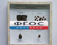 Коллекция энтомологическая "Примеры защитных приспособлений у насекомых" - fgospostavki.ru - Тольятти