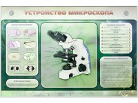 Электрифицированный стенд "Устройство микроскопа и правила работы c ним" - fgospostavki.ru - Тольятти