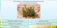 Интерактивные курсы. Окружающий мир 3 класс . Базовый. - fgospostavki.ru - Тольятти