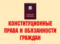 Комплект плакатов "Конституционные права и обязанности граждан" - fgospostavki.ru - Тольятти