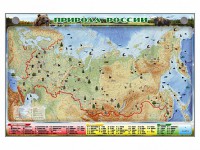 Электронно-информационный (маркерный) стенд "Природа России" - fgospostavki.ru - Тольятти