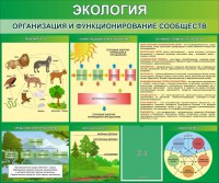 Стенд "Экология. Организация и функционирование сообществ" - fgospostavki.ru - Тольятти