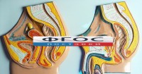 Модель барельефная "Таз мужской и таз женский" - fgospostavki.ru - Тольятти