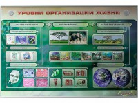 Электрифицированный стенд "Уровни организации жизни" - fgospostavki.ru - Тольятти