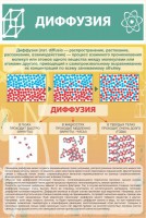 Стенд "Диффузия" - fgospostavki.ru - Тольятти