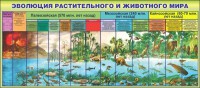 Стенд "Эволюция растительного и животного мира" - fgospostavki.ru - Тольятти
